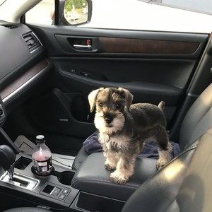 Meet your Posher, Eric